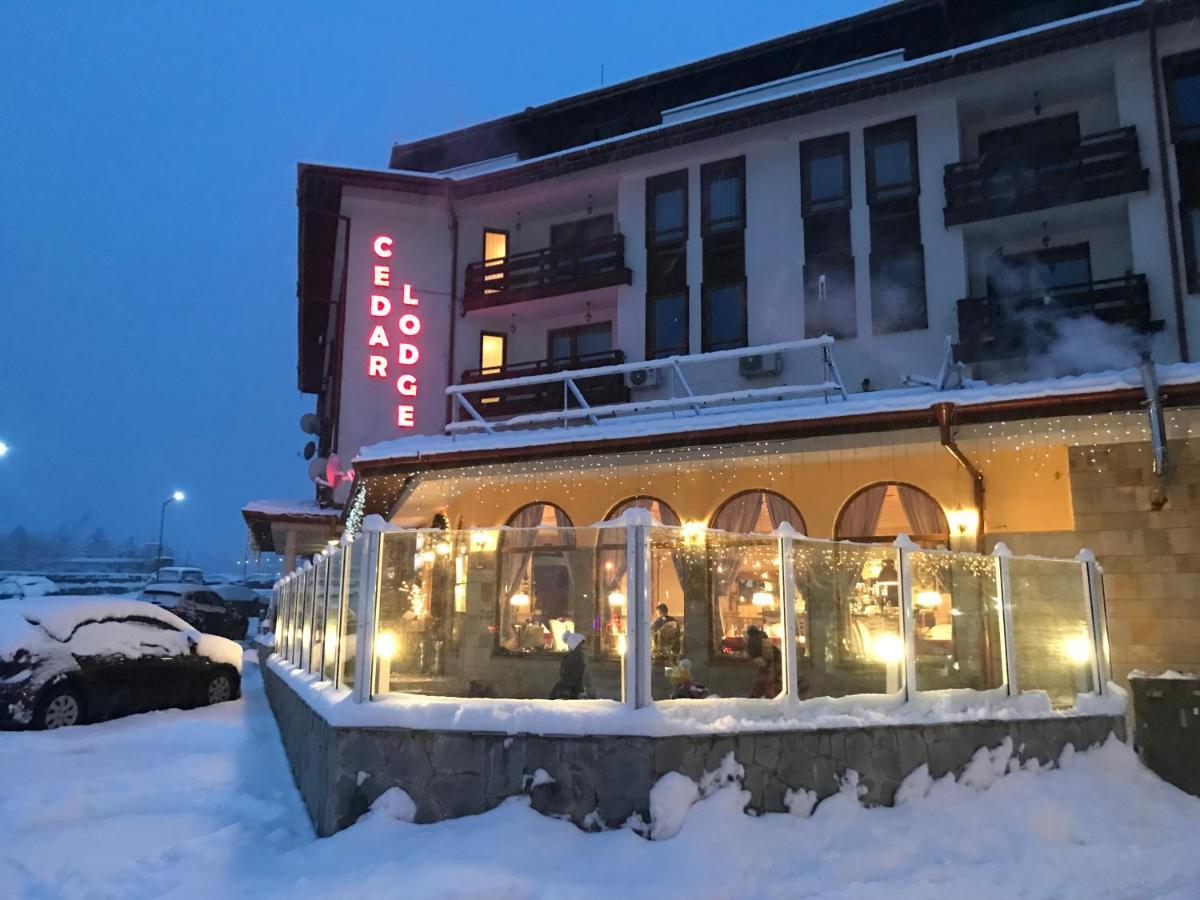 Ski Zone At Gondola, Perfect One Bdrm, Fast Wifi, Netflix, Quiet, Warm 班斯科 外观 照片