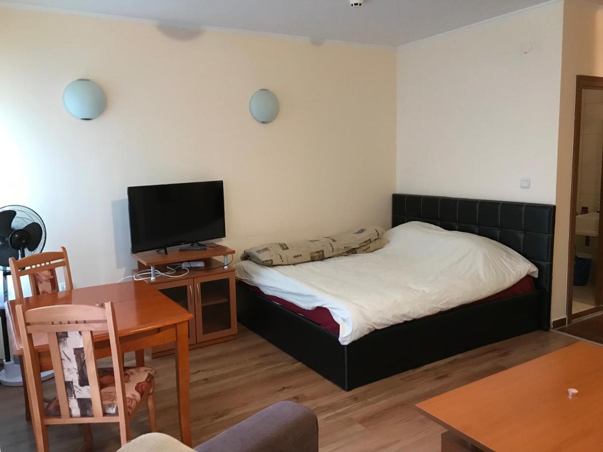 Ski Zone At Gondola, Perfect One Bdrm, Fast Wifi, Netflix, Quiet, Warm 班斯科 外观 照片