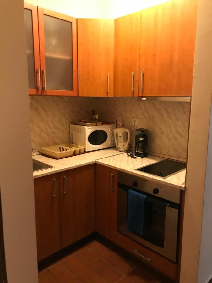 Ski Zone At Gondola, Perfect One Bdrm, Fast Wifi, Netflix, Quiet, Warm 班斯科 外观 照片
