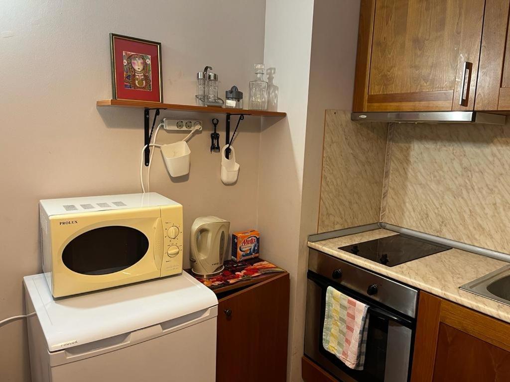 Ski Zone At Gondola, Perfect One Bdrm, Fast Wifi, Netflix, Quiet, Warm 班斯科 外观 照片